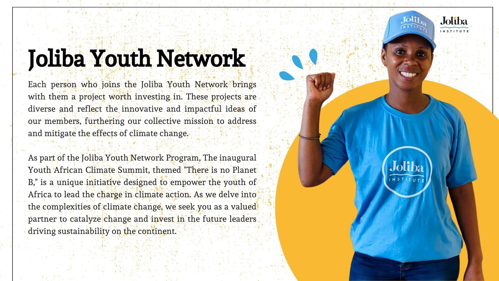 Joliba Youth Climate Summit (2)